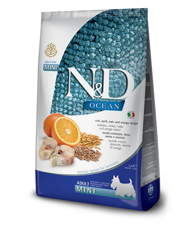 best dry dog food for dog with allergies