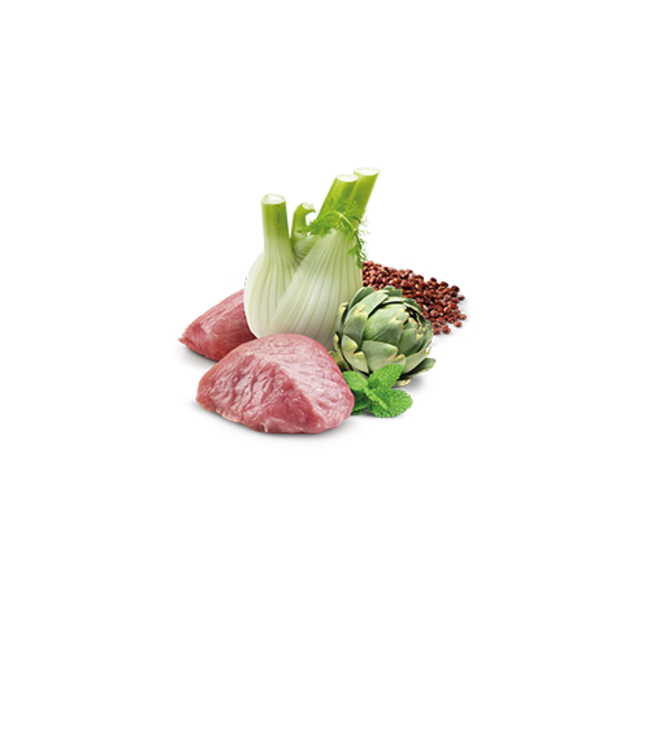 Farmina QUINOA Digestion Lamb 10.05 OZ The PawStand®