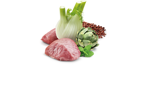 farmina digestion lamb