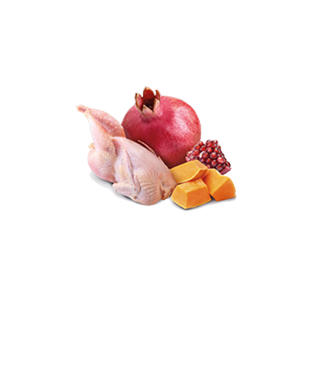 Farmina Quail & Pumpkin Adult 10.05 OZ The PawStand®