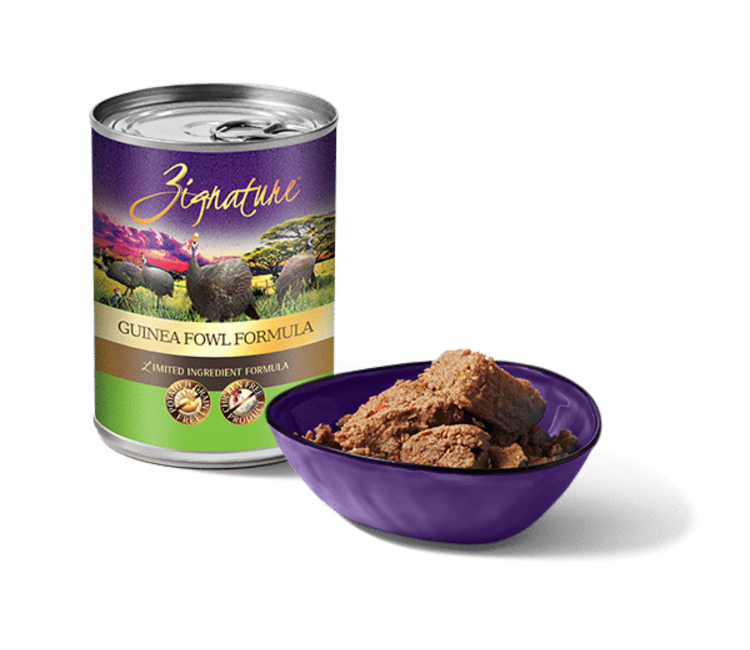 zignature guinea fowl