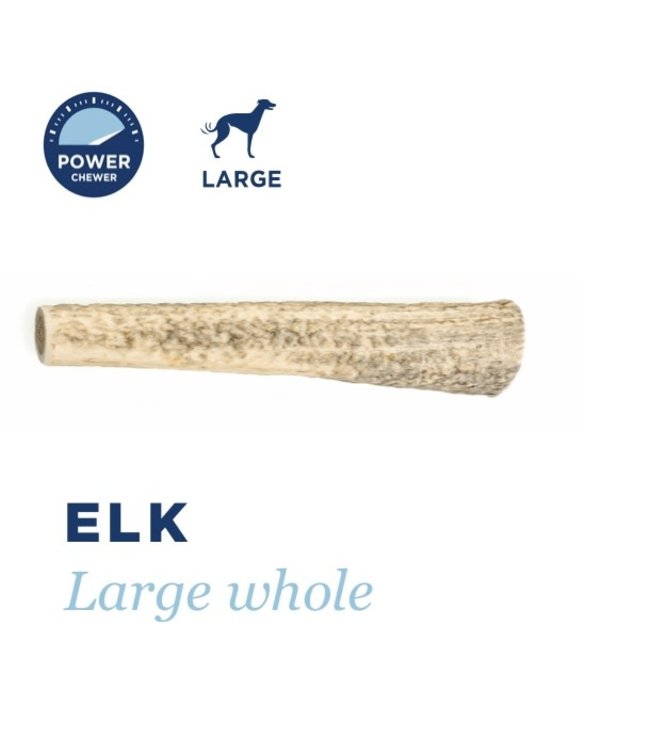 Barkworthies Barkworthies Whole Elk Antler Large