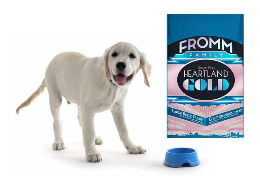 Fromm Heartland Gold Large Breed Puppy Review
