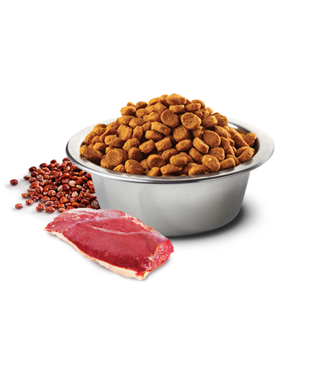 Farmina Cat QUINOA Grain Free LID Urinary Duck The PawStand®