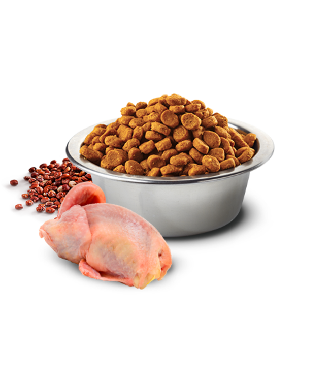 Farmina Cat QUINOA Grain Free LID Skin & Coat Quail 3.3 The PawStand®