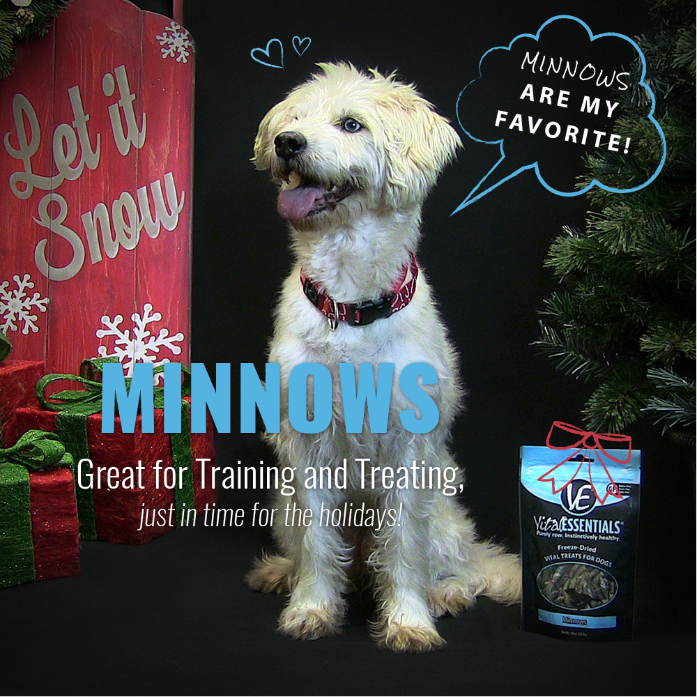 vital essentials minnows