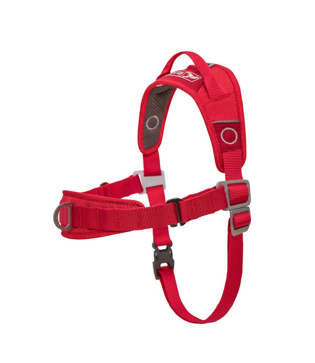 kurgo harness