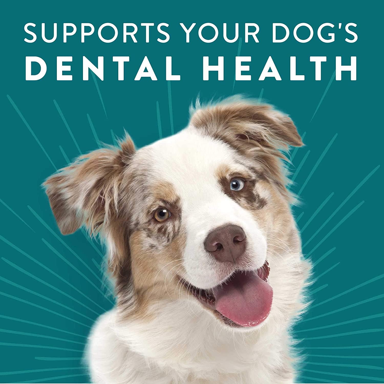 Dogswell Jerky Dental Chicken 12 oz The PawStand®