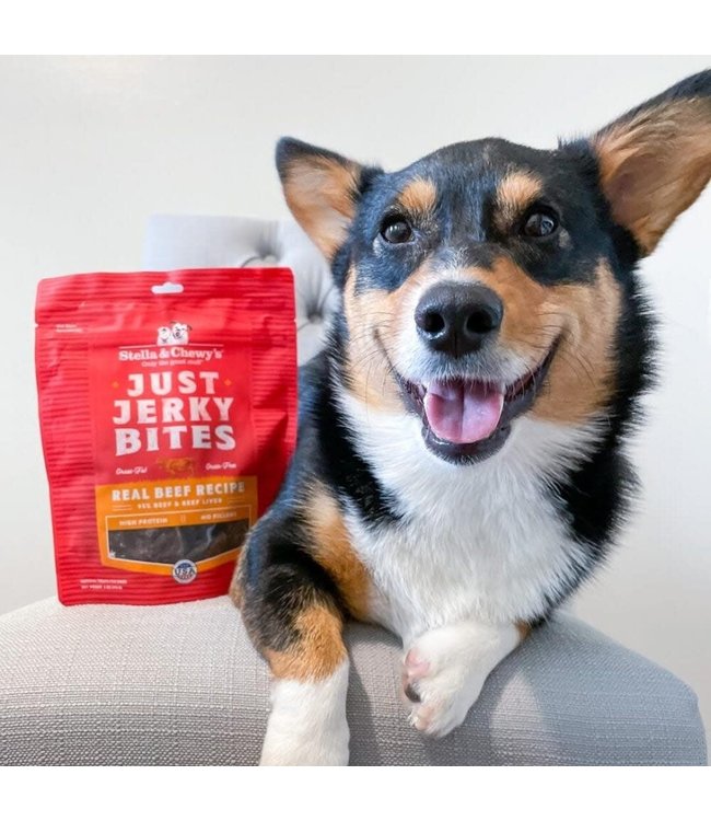 Stella & Chewy's® Treat Jerky Bites Beef 6 oz The PawStand®
