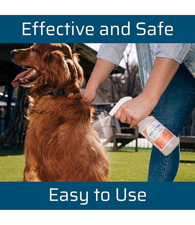 Wondercide Peppermint Flea & Tick Spray for Pets + Home with Natural