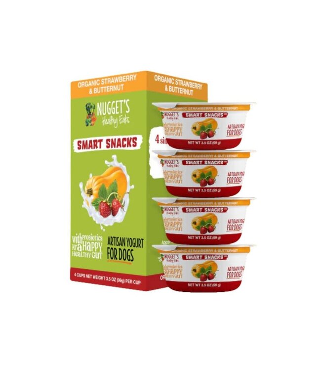 Nugget's Healthy Eats Nugget's Frozen Yogurt Strawberry Butter for Dogs 14 oz (Single Cup)