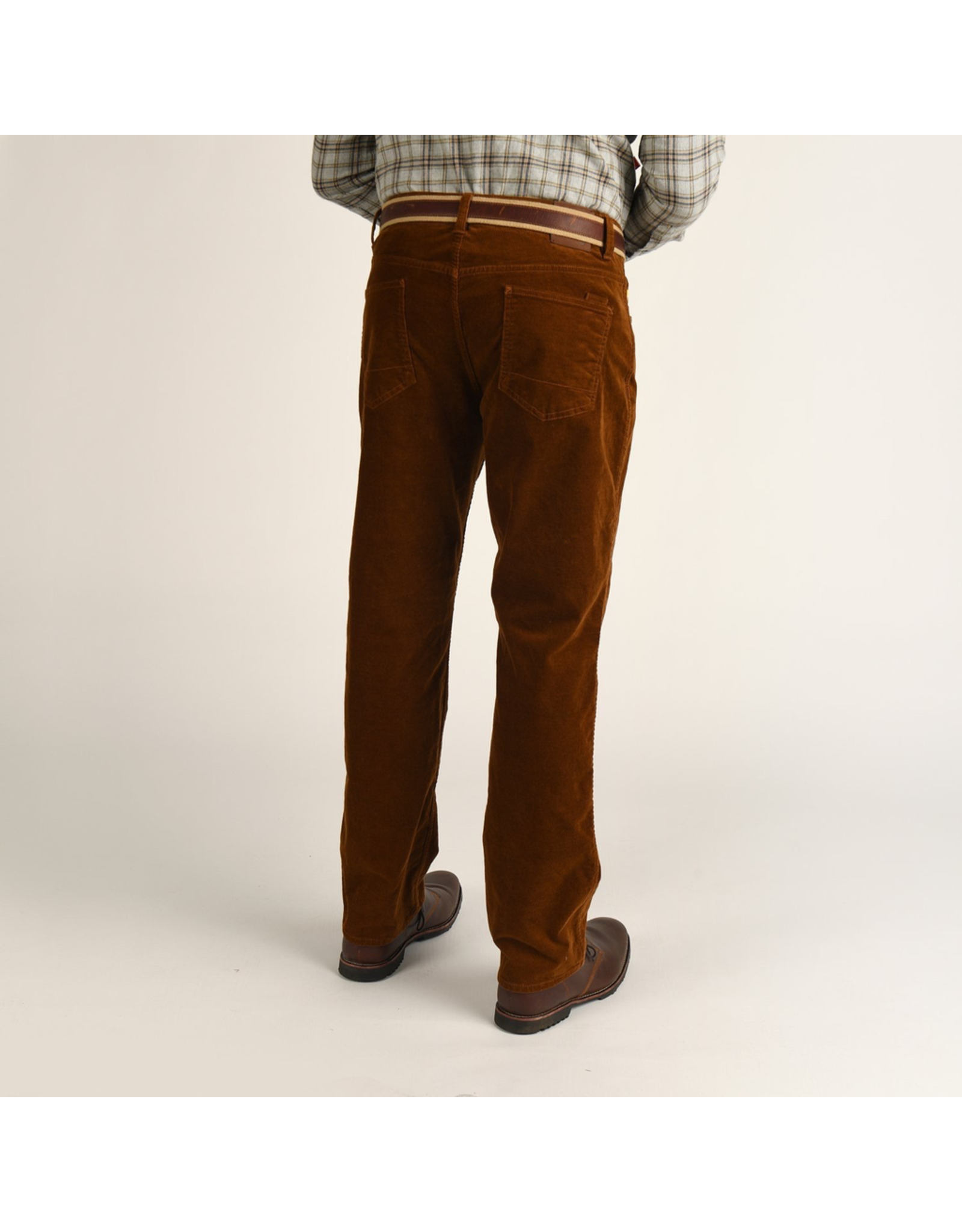 Pants DUCK HEAD 1865 Corduroy Hewlett Dunn