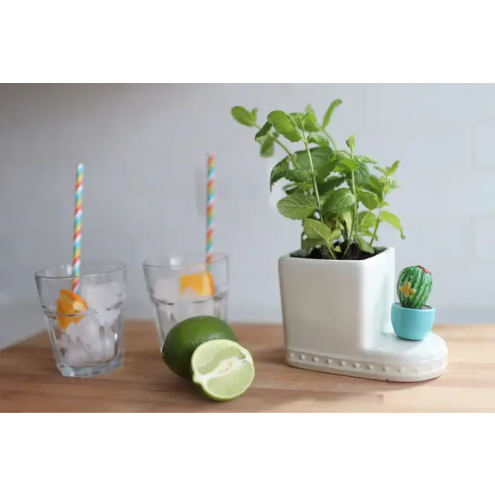 Nora Fleming CANT TOUCH THIS MINI - DISC