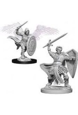 Wizkids Nolzur's  - Male Aasimar Paladin 73342