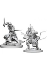 Wizkids D&D Nolzur's - Githzerai 73351
