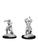 Wizkids Nolzur's Marvelous Miniatures - Flesh Golem 73400