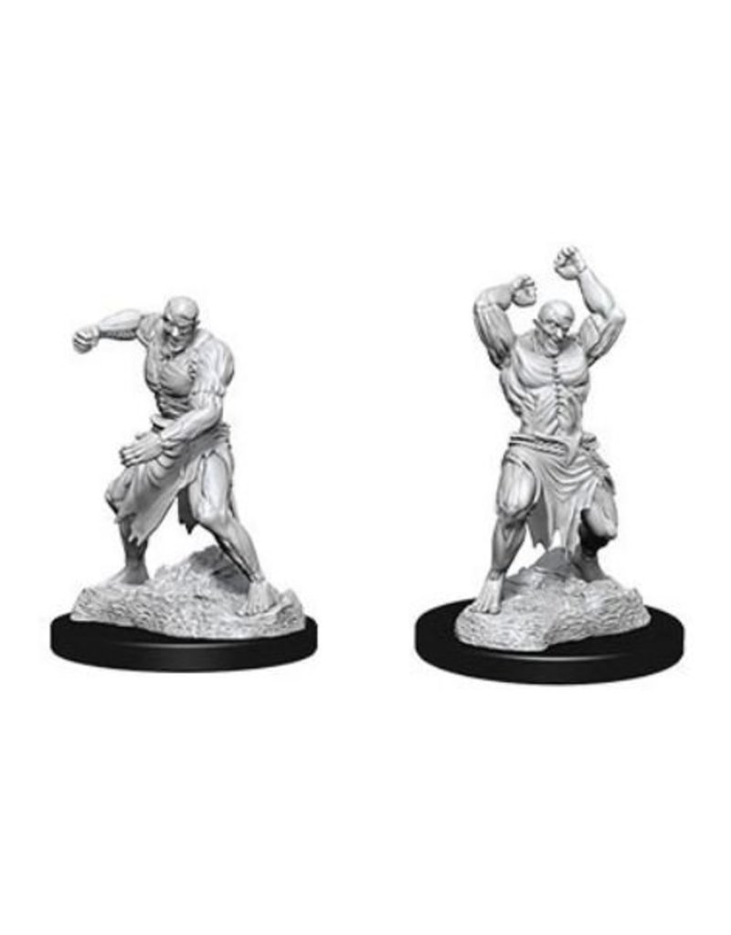 Wizkids Nolzur's Marvelous Miniatures - Flesh Golem 73400