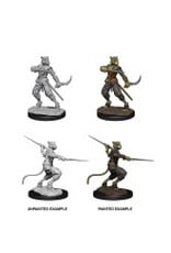 Wizkids D&D Nolzur's - Tabaxi Male Rogue 73540