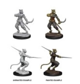 Wizkids D&D Nolzur's - Tabaxi Male Rogue 73540