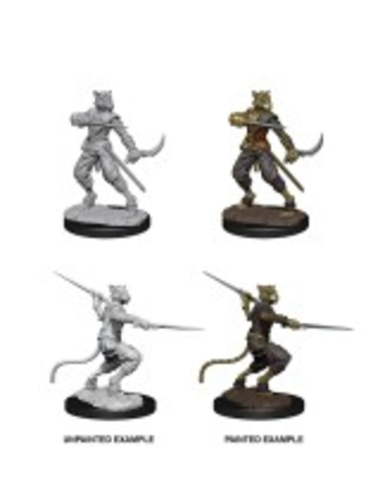 Wizkids D&D Nolzur's - Tabaxi Male Rogue 73540