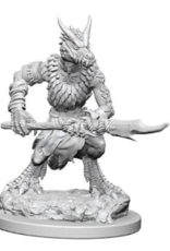 Wizkids Nolzur's Marvelous Miniatures - Kobolds 72557