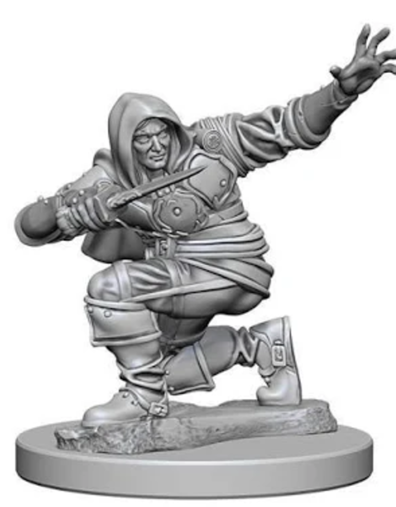 Wizkids Nolzur's - Male Halfling Rogue 72626