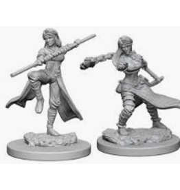 Wizkids Nolzur's Marvelous Miniatures - Female Human Monk 72634