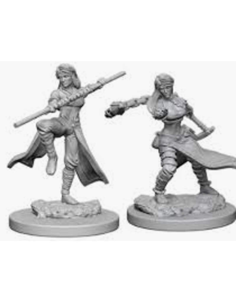 Wizkids Nolzur's Marvelous Miniatures - Female Human Monk 72634