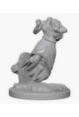 Wizkids Nolzur's Marvelous Miniatures - Ghost & Banshee 72564