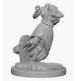 Wizkids Nolzur's Marvelous Miniatures - Ghost & Banshee 72564