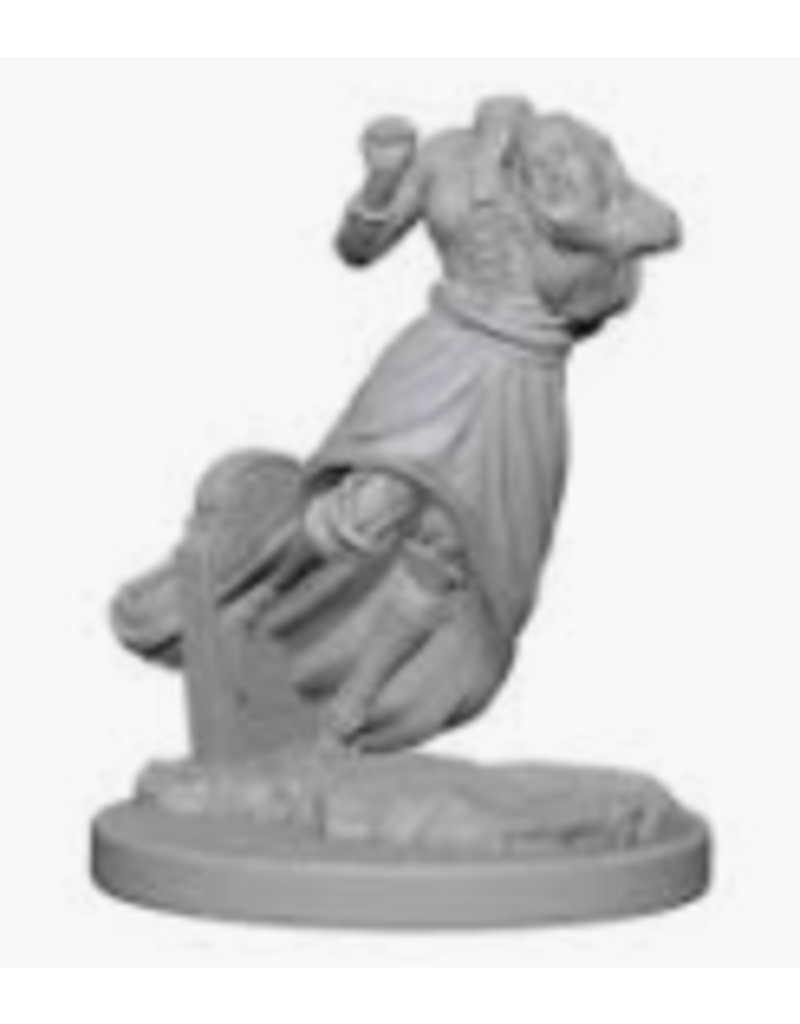 Wizkids Nolzur's Marvelous Miniatures - Ghost & Banshee 72564