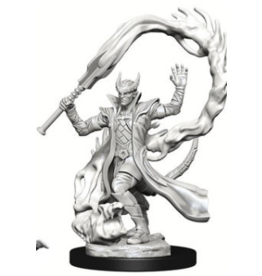 Wizkids Nolzur's - Male Tiefling Sorcerer 73201