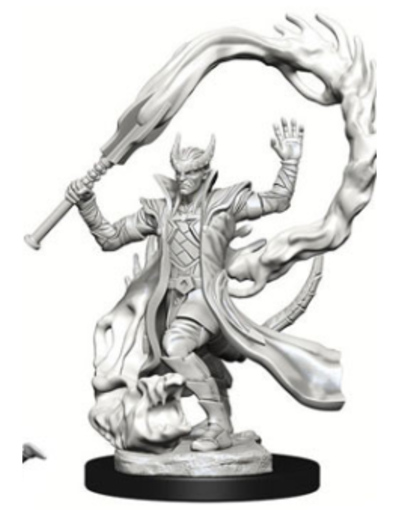 Wizkids Nolzur's - Male Tiefling Sorcerer 73201