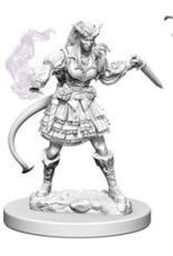 Wizkids Nolzur's - Female Tiefling Sorcerer 73202