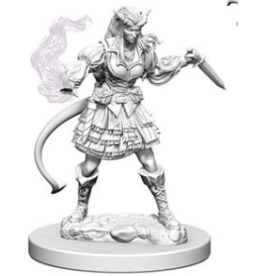 Wizkids Nolzur's - Female Tiefling Sorcerer 73202