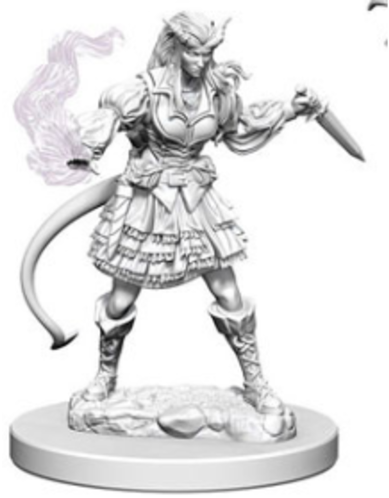 Wizkids Nolzur's - Female Tiefling Sorcerer 73202