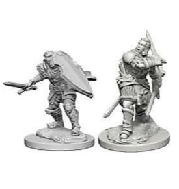 Wizkids Nolzur's - Male Human Paladin 72629