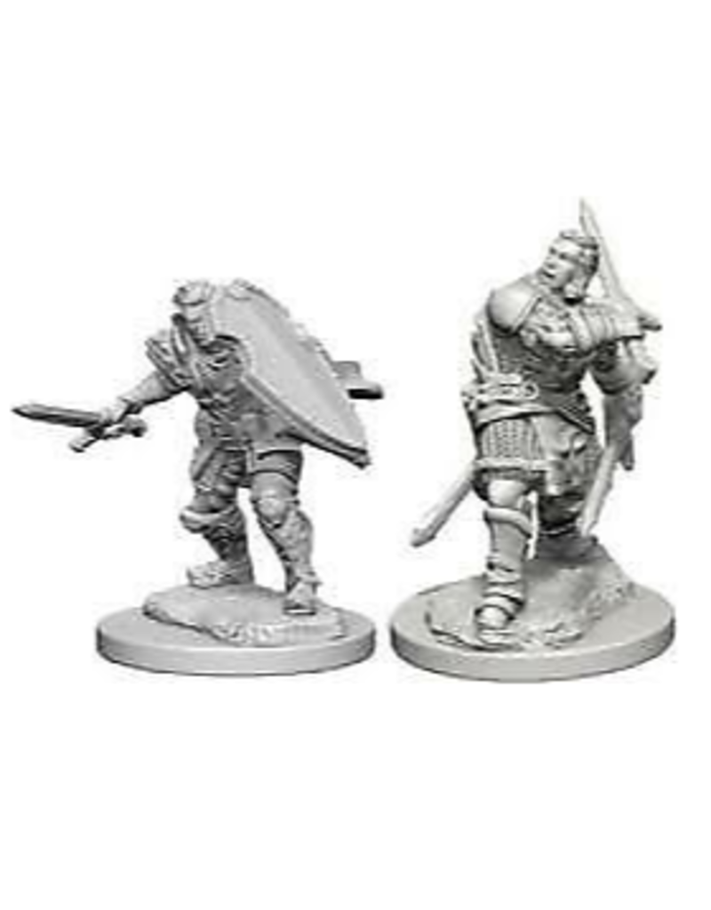 Wizkids Nolzur's - Male Human Paladin 72629