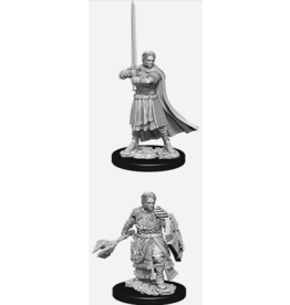 Wizkids D&D Nolzur's - Male Human Cleric 73672