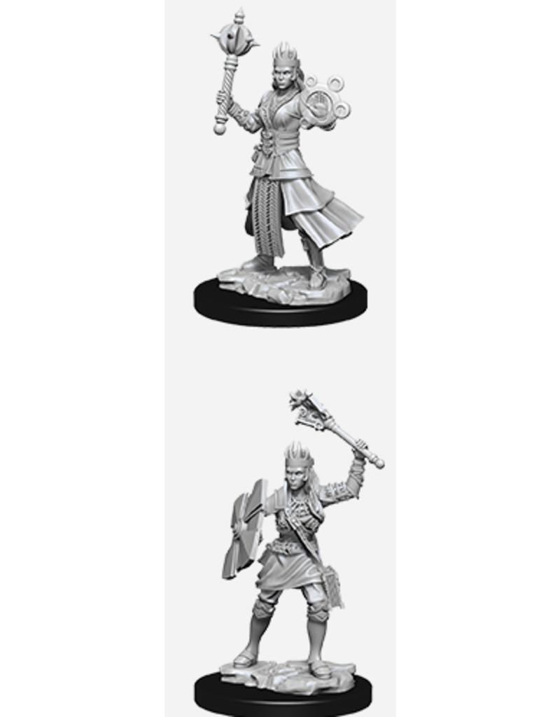 Wizkids D&D Nolzur's - Female Human Cleric 73671