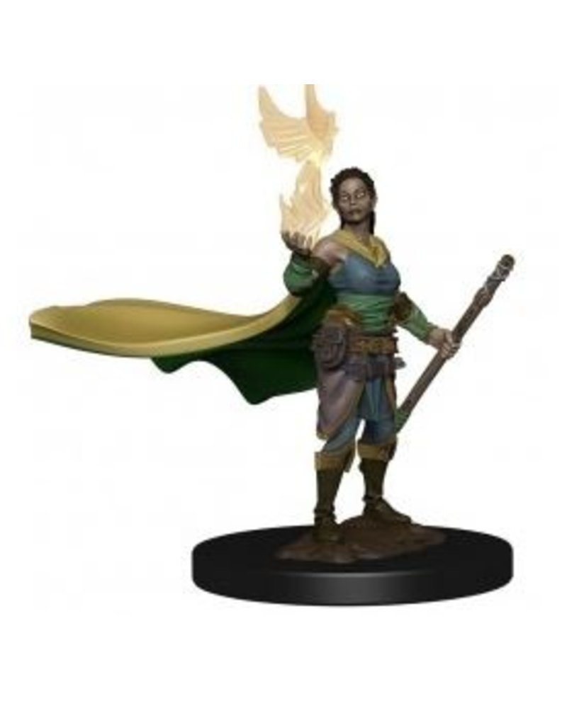 Wizkids Icons of the Realms - Female Elf Druid 93003