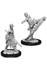 Wizkids D&D Nolzur's - Male Half-Elf Monk 73838