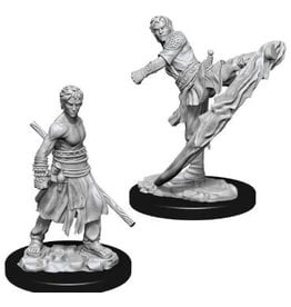 Wizkids D&D Nolzur's - Male Half-Elf Monk 73838