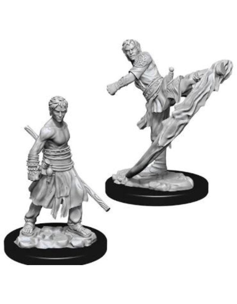 Wizkids D&D Nolzur's - Male Half-Elf Monk 73838