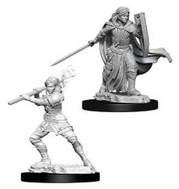 Wizkids D&D Nolzur's  - Female Human Paladin 73830