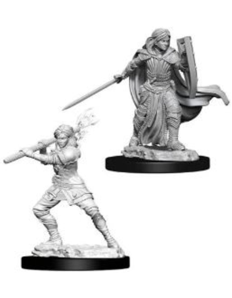 Wizkids D&D Nolzur's  - Female Human Paladin 73830