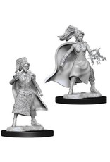 Wizkids D&D Nolzur's - Female Human Sorcerer 73832