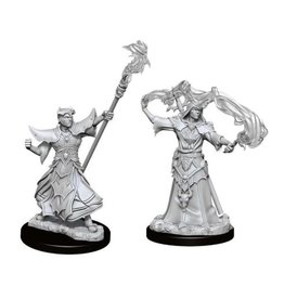 Wizkids Deep Cuts - Male Human Sorcerer 90052