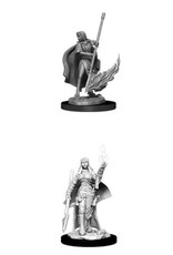 Wizkids Deep Cuts - Female Human Oracle 90044
