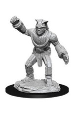 Wizkids D&D Nolzur's - Stone Golem 90033